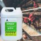 Superliv májvédő itatófolyadék 5 liter