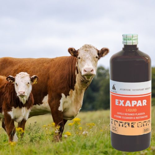 Exapar placentakiürülést segítő itatófolyadék 500 ml