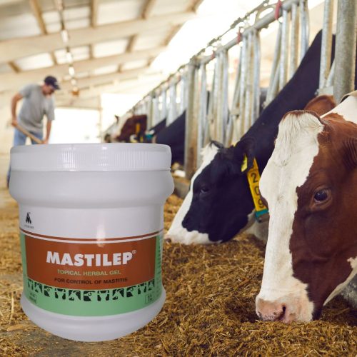 Mastilep herbal emulsion udder gel againts mastitis 1 kg