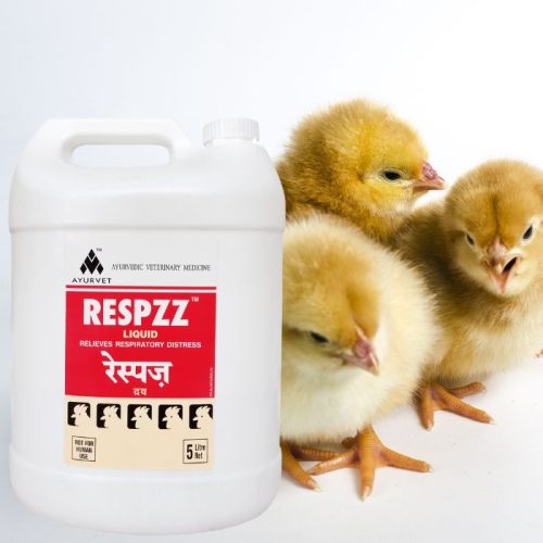 Respzz légzést segítő itatófolyadék 5 liter