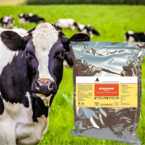Estrofarm herbal, hormone-free premix to help induce estrus, 1 kg