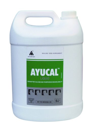 Ayucal herbal oral liquid to support calcium and phosphorus absorption, 5 liter