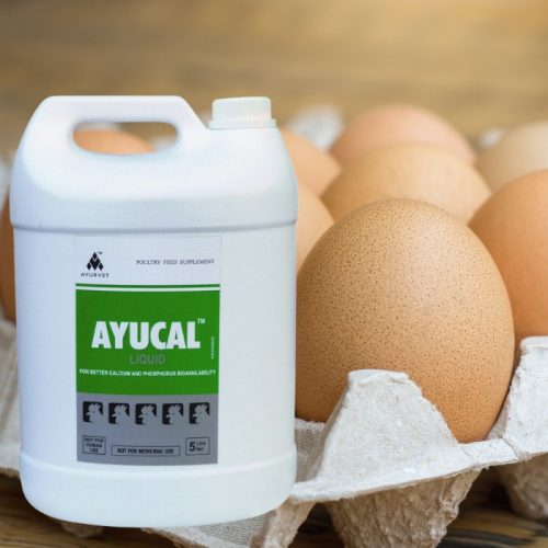 Ayucal csont- és tojáshéjerősítő hatású itatófolyadék 5 liter