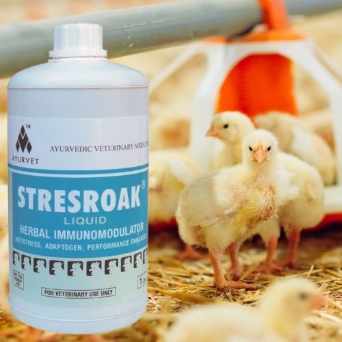 Stresroak stressz elleni, immunerősítő itatófolyadék 1 liter