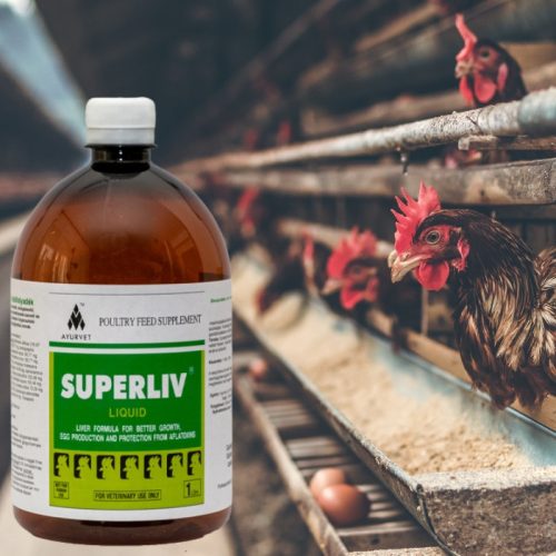 Superliv májvédő itatófolyadék 1 liter