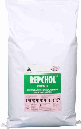 Repchol herbal biotin and choline supplement, 1 kg