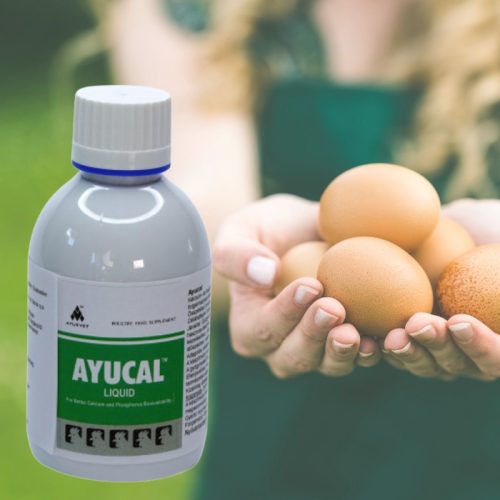 Ayucal csont- és tojáshéjerősítő hatású itatófolyadék 200 ml