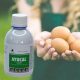 Ayucal csont- és tojáshéjerősítő hatású itatófolyadék 200 ml