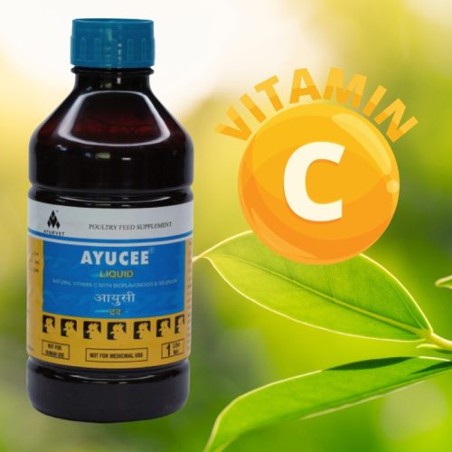 Ayucee természetes C-vitamin tartalmú itatófolyadék 1 liter