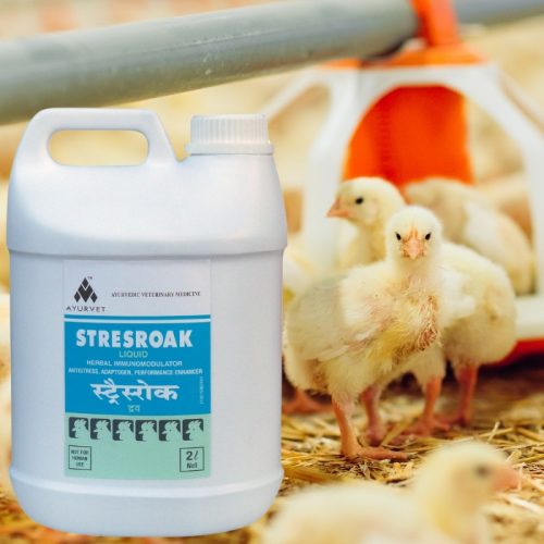 Stresroak stressz elleni, immunerősítő itatófolyadék 2 liter