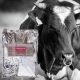 Seminogen spermaminőséget javító premix 1 kg