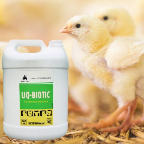 Liq-Biotic herbal anti-diarrhoea oral liquid 5 liter