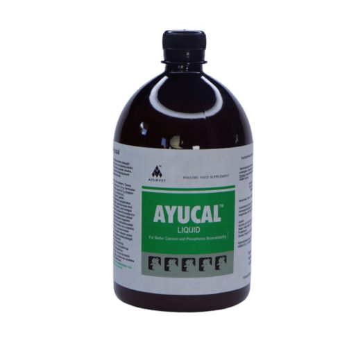 Ayucal herbal oral liquid to support calcium and phosphorus absorption, 1 liter