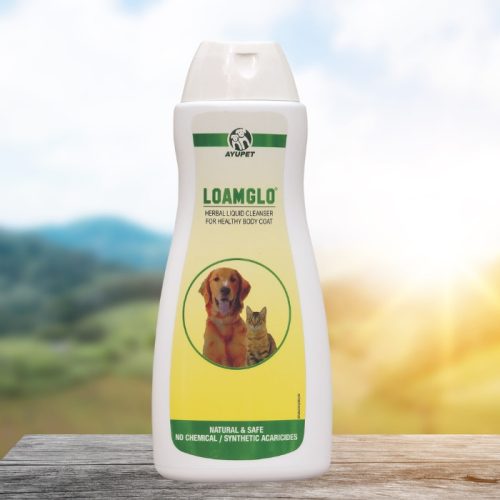 Loamglo gyógynövényes kutyasampon 200 ml