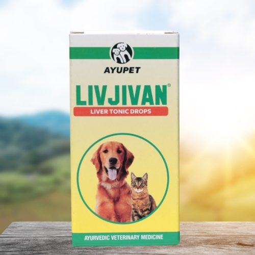 Livjivan májvédő belsőleg csepp kutyáknak 30 ml