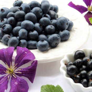 Immune Boosters, Antioxidants