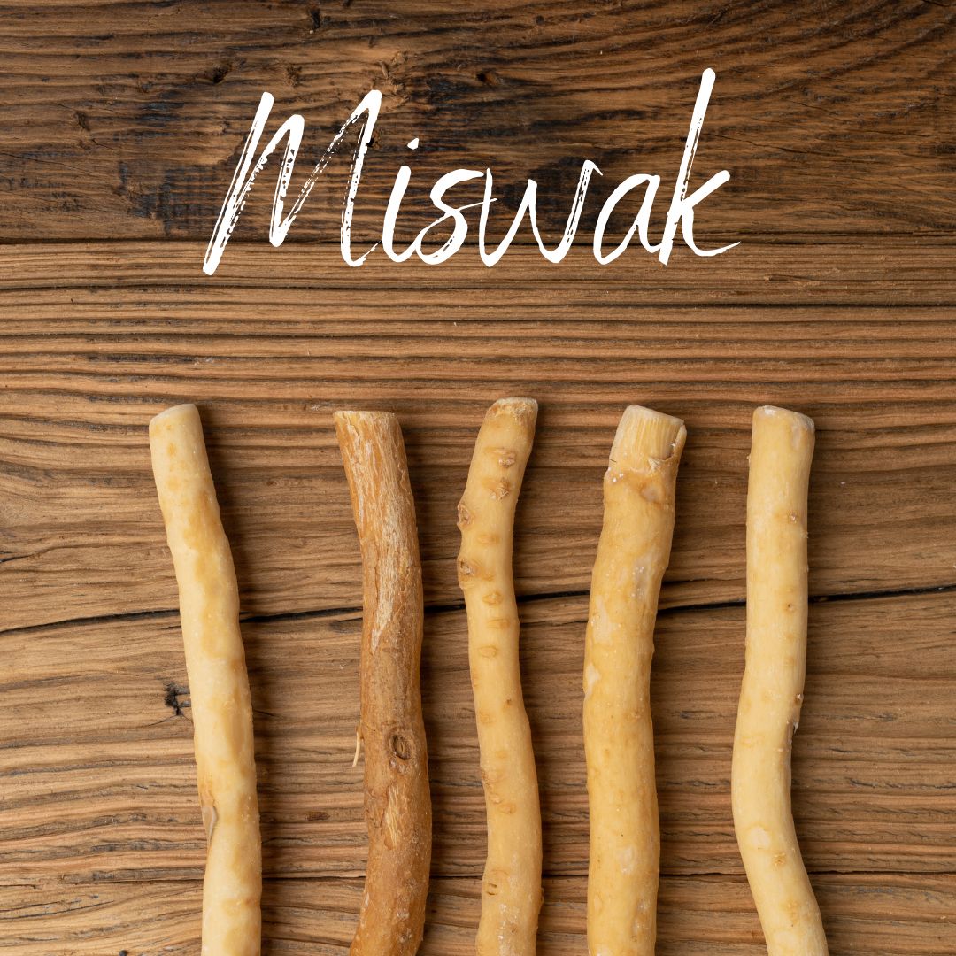 Egy újjáélesztett tradíció: Miswak a modern fogápolásban