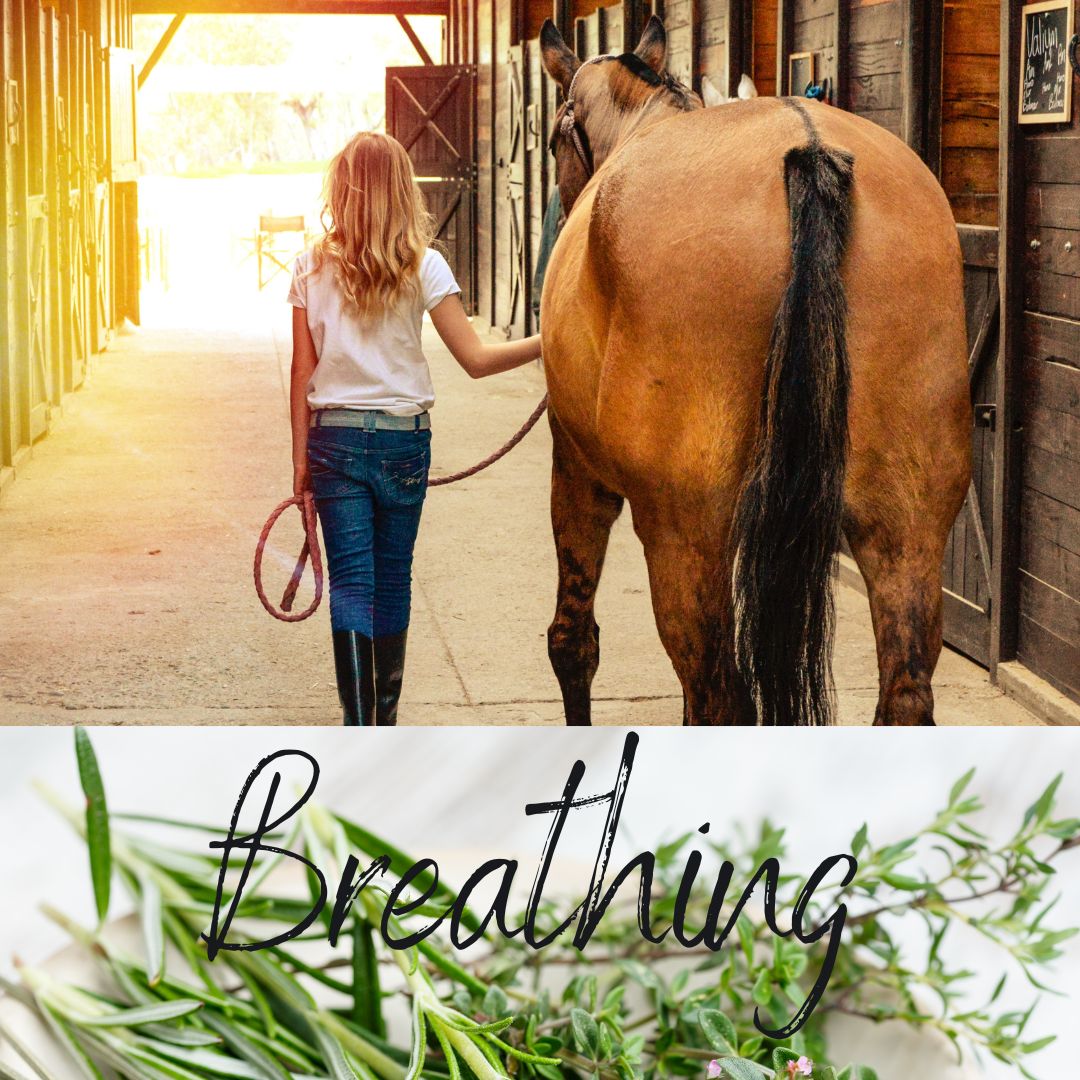 Pulmofarm T: Herbal support for respiratory problems in horses