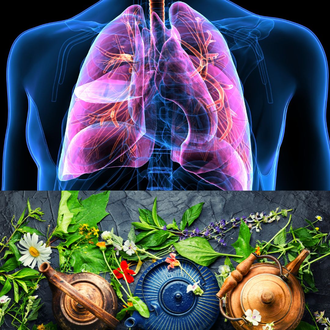 Strategies for protecting the lungs and airways with Ayurveda